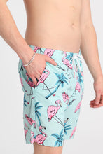 Flamingo 7