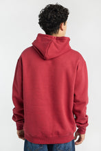 Aéropostale Embroidered Hoodie thumbnail 25
