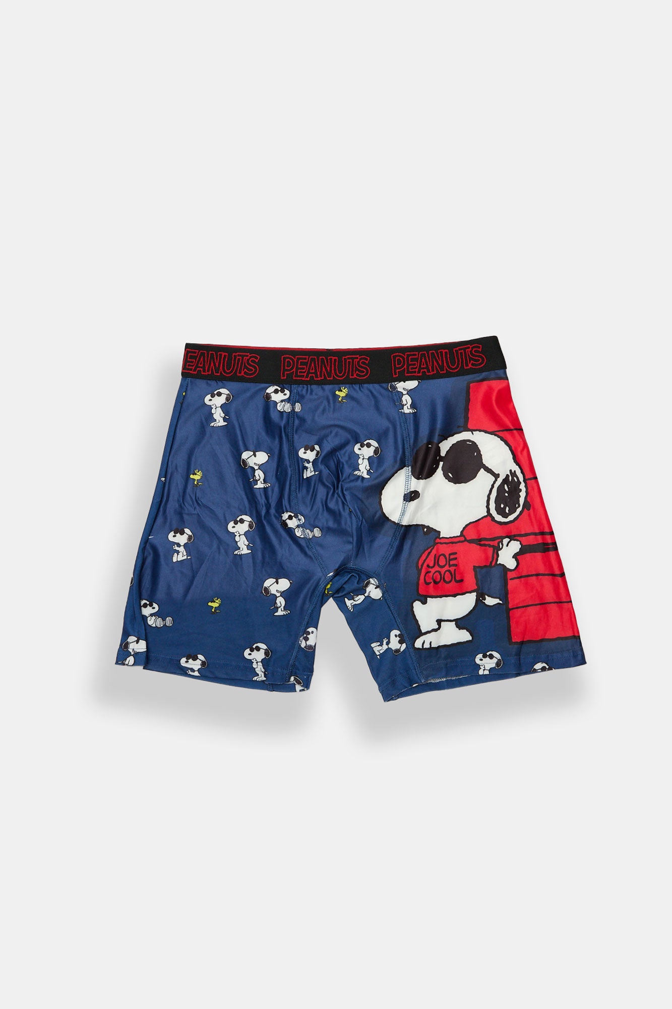 Peanuts Snoopy & Woodstock Dog House Printed Boxer Briefs