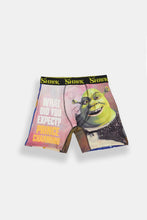 Shrek What Did You Expect Prince Charming Printed Boxer Briefs thumbnail 1