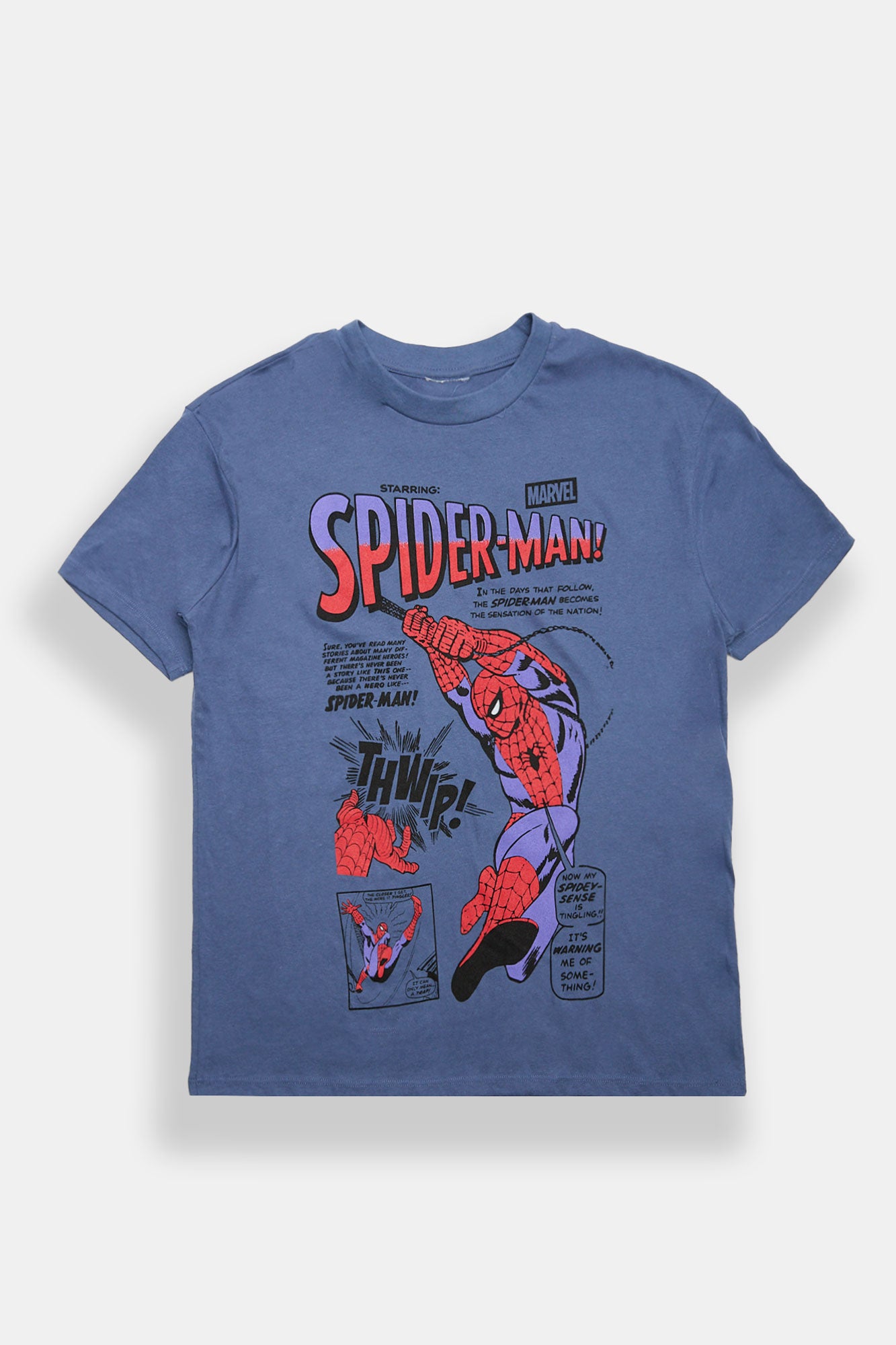 Spider-Man Graphic Boyfriend Tee