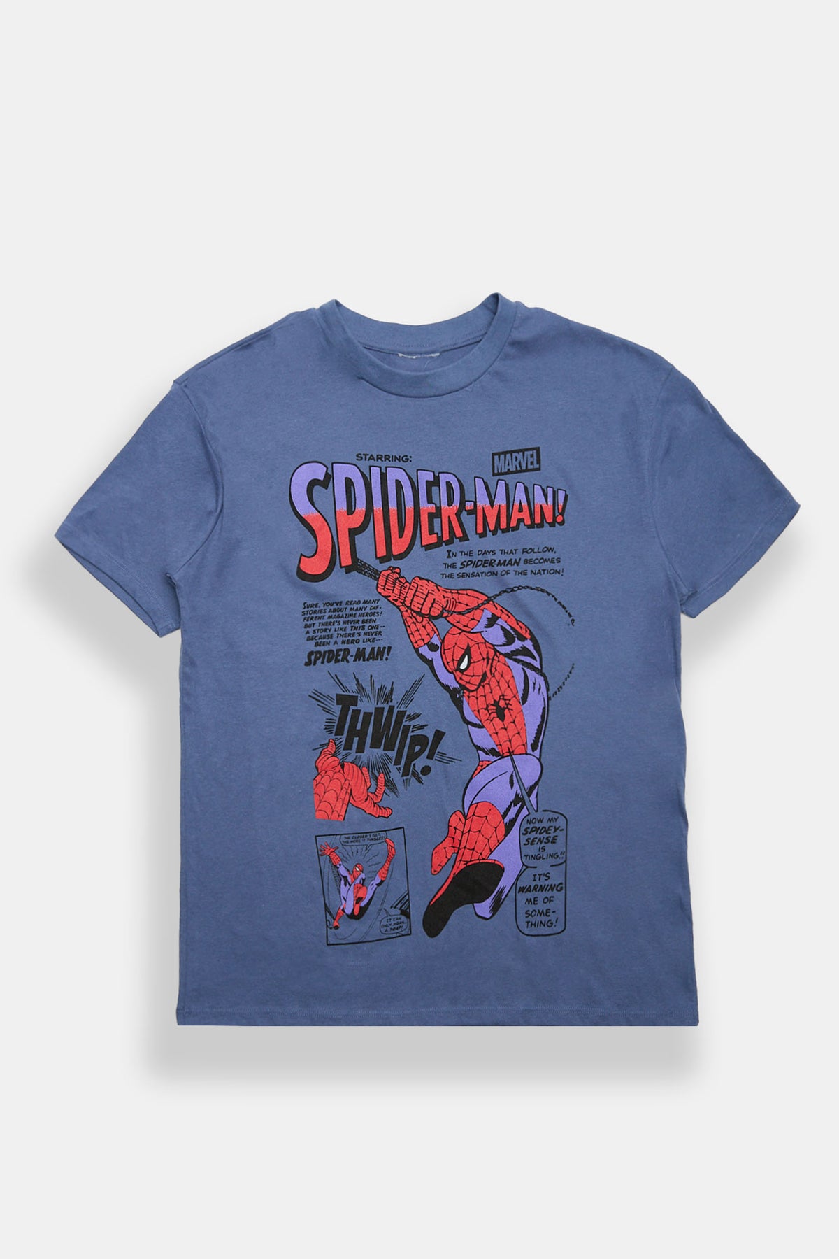 Spider-Man Graphic Boyfriend Tee