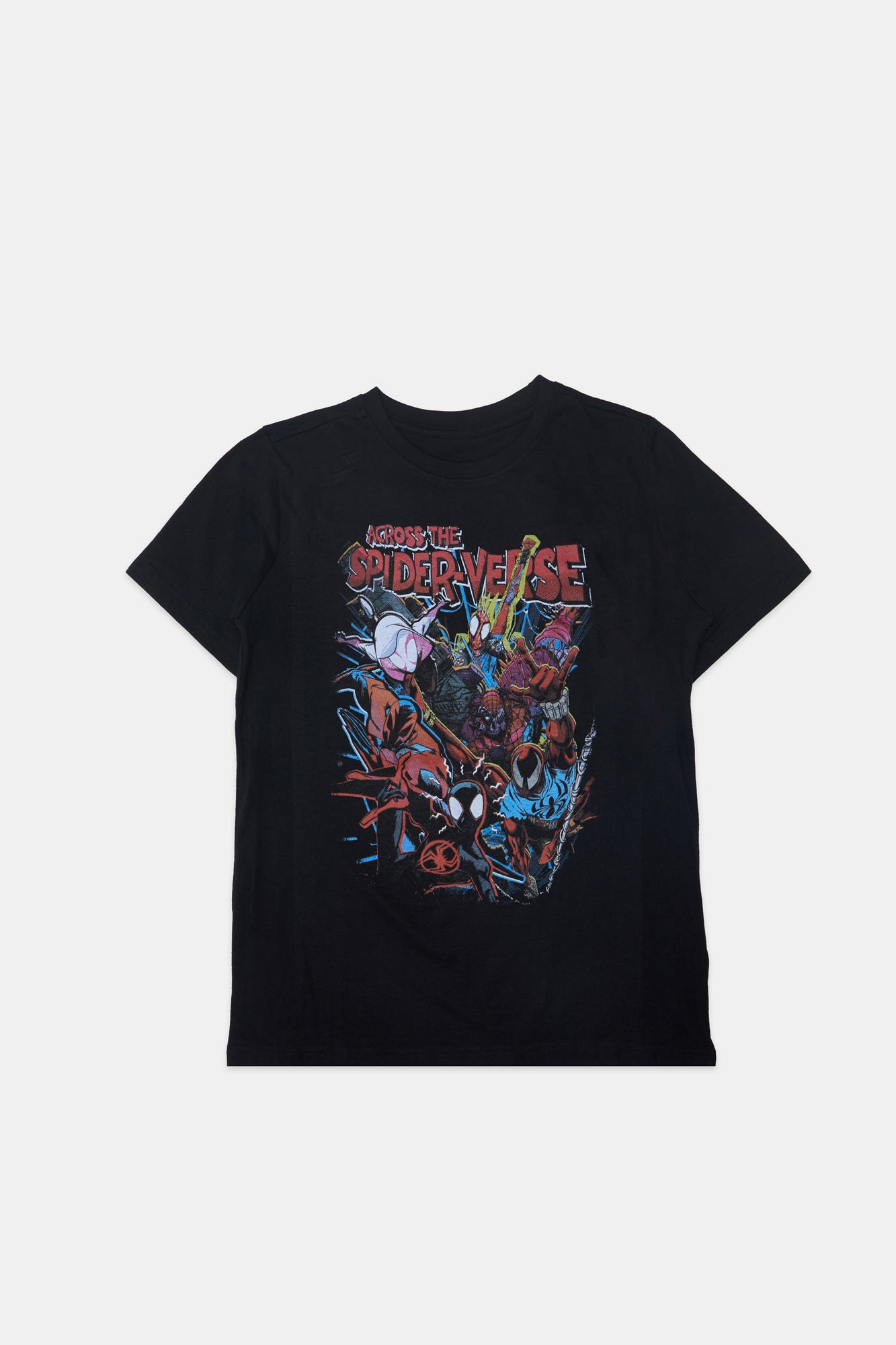 Boys' Spider-Man Spider-Verse Graphic Classic Tee