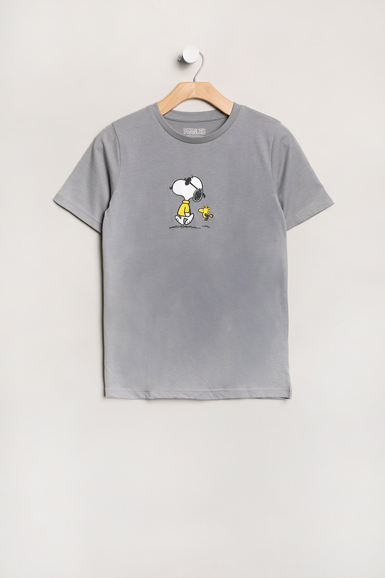 Boys' Peanuts Snoopy And Woodstock Graphic Classic Tee