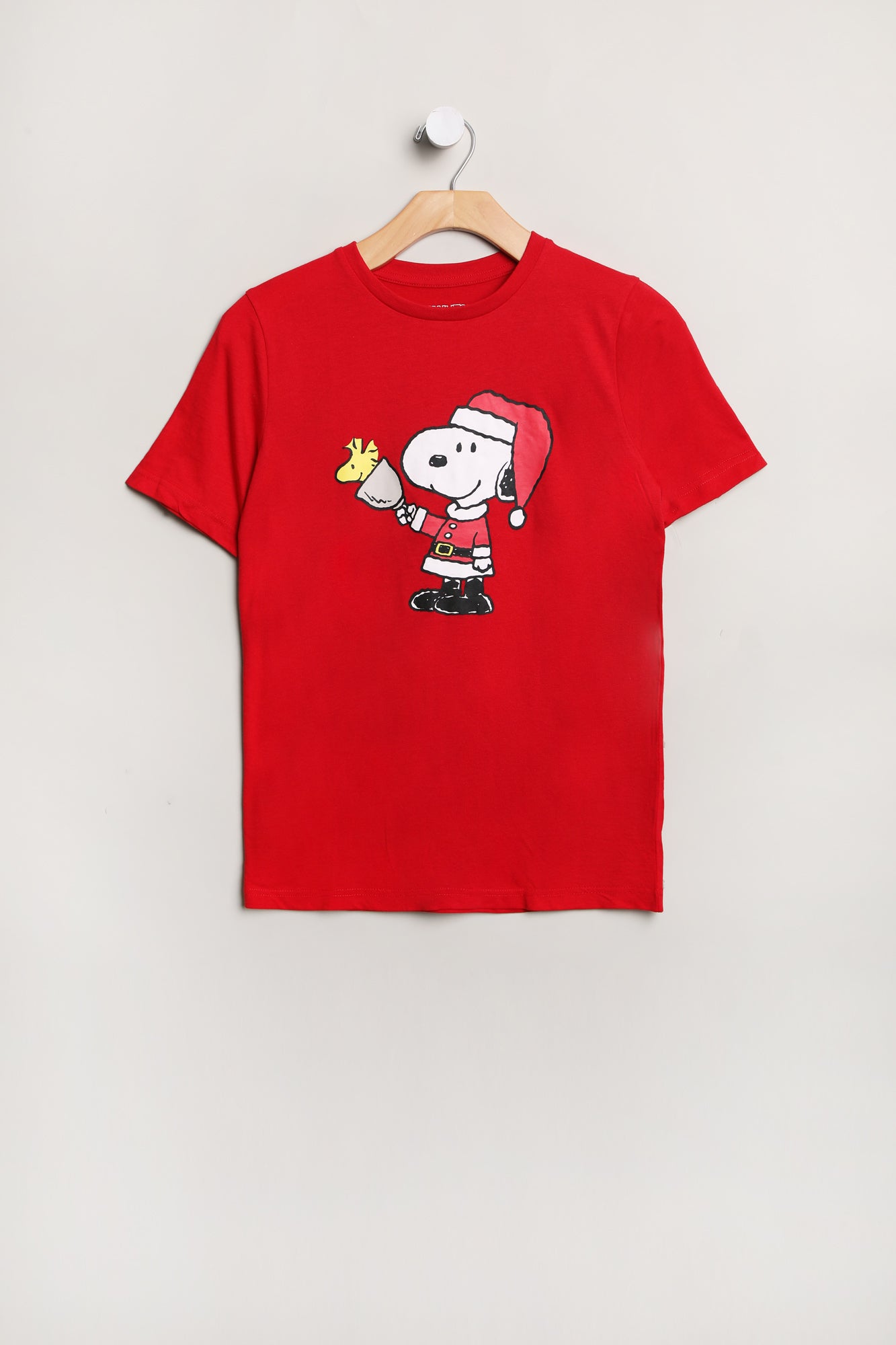 Boys' Peanuts Snoopy And Woodstock Santa Outfit Graphic Classic Tee