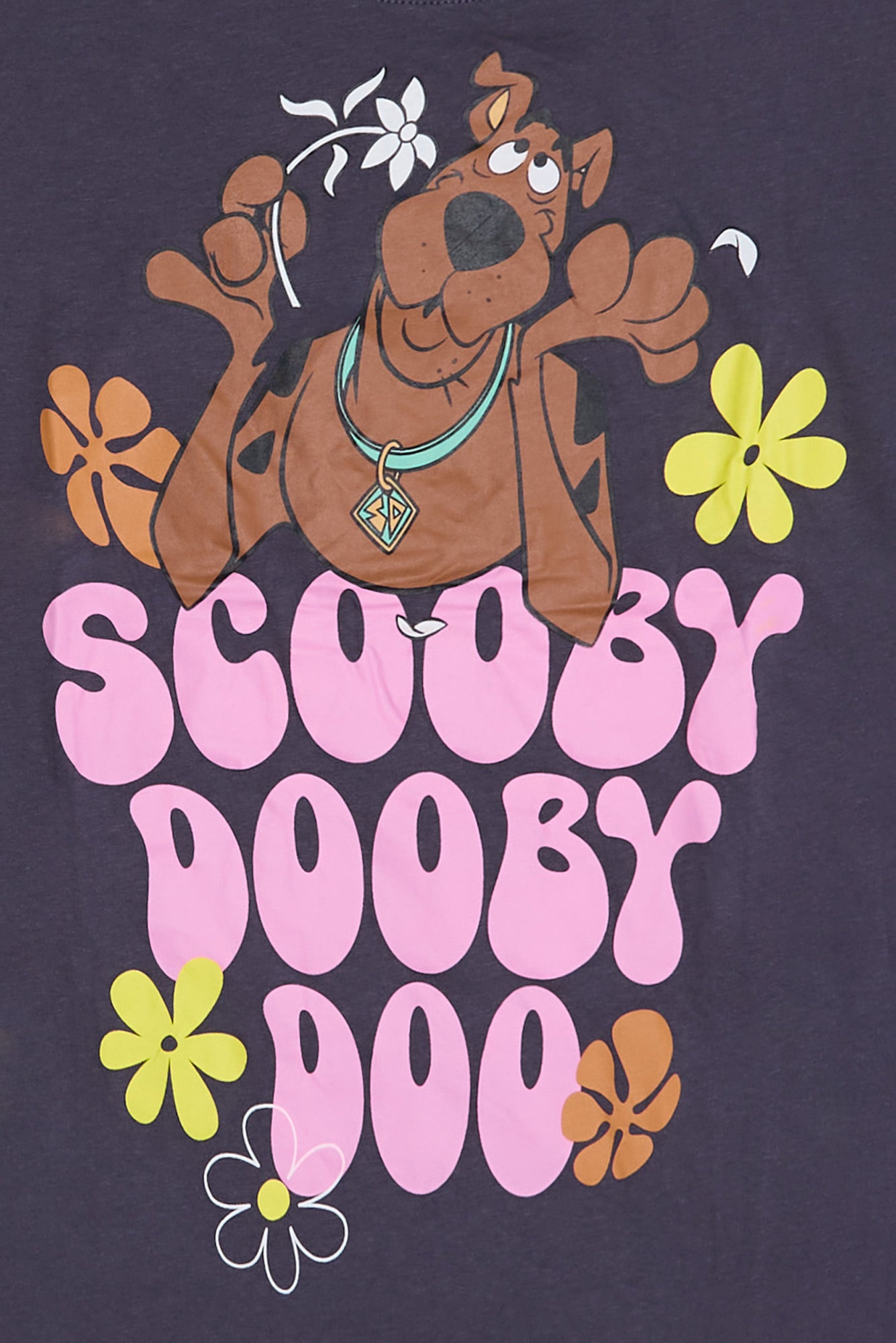 Scooby Dooby Doo Graphic Relaxed Tee – Bluenotes