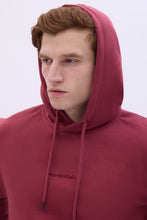 Pull à capuche brodé Aéropostale thumbnail 30