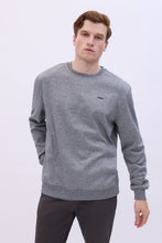 Aéropostale Embroidered Crew Neck Sweatshirt thumbnail 25