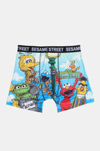 Sesame Street Printed Boxer Briefs thumbnail 1