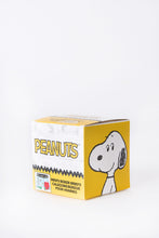 Peanuts Doghouse Printed Boxer Briefs thumbnail 3