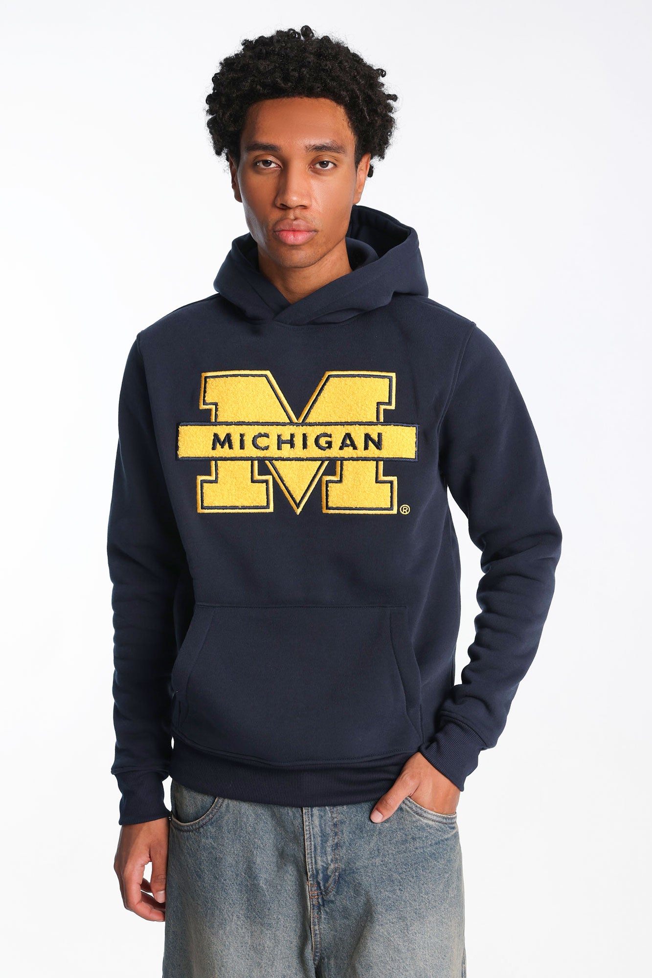 Michigan M University Chenille Hoodie