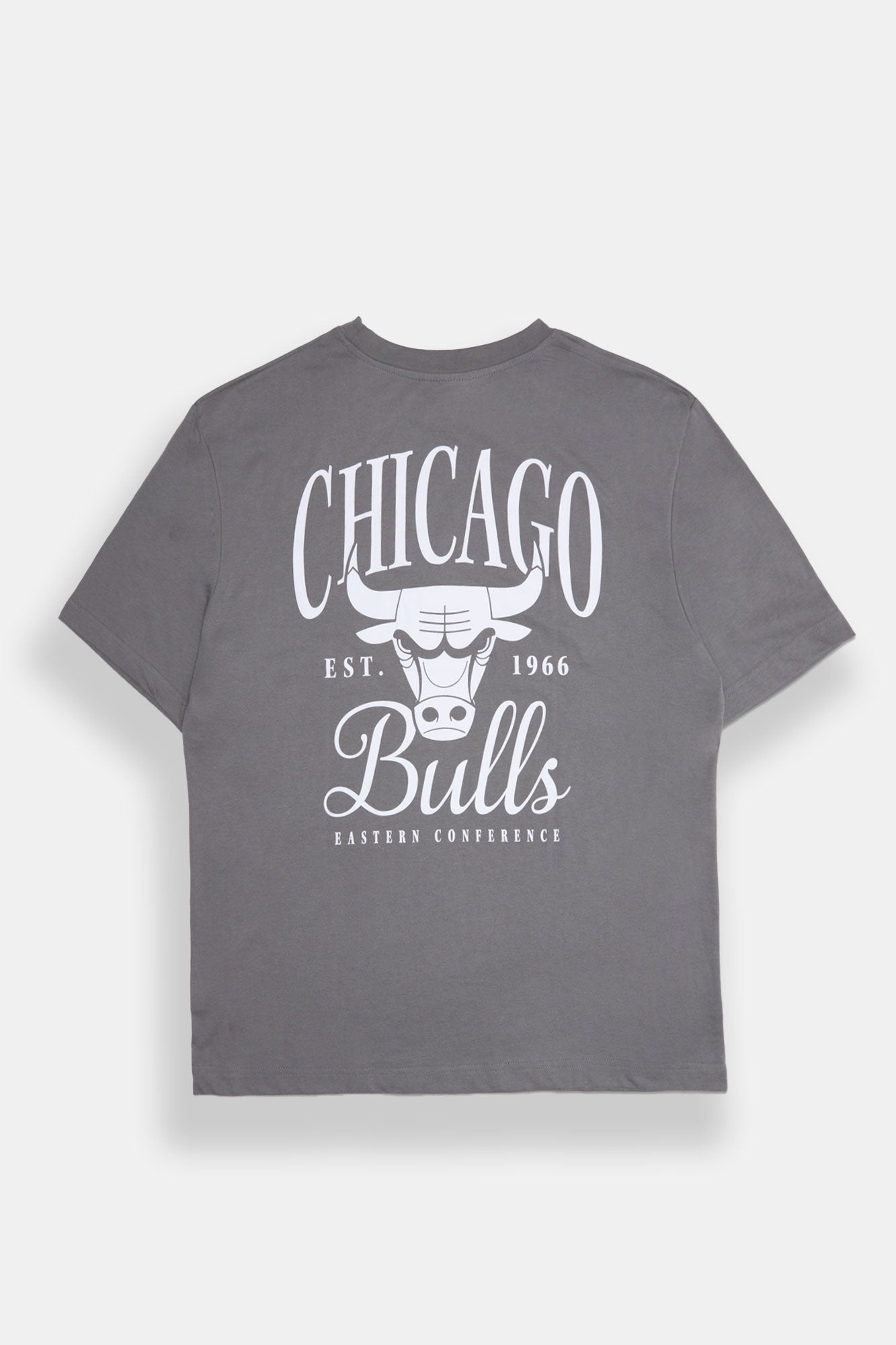 Chicago Bulls Embroidered Graphic Oversized Tee