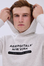 AERO New York Flocked Graphic Hoodie thumbnail 11