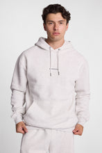 Chandail à capuche en molleton délavé à graphique brodé Aéropostale thumbnail 18