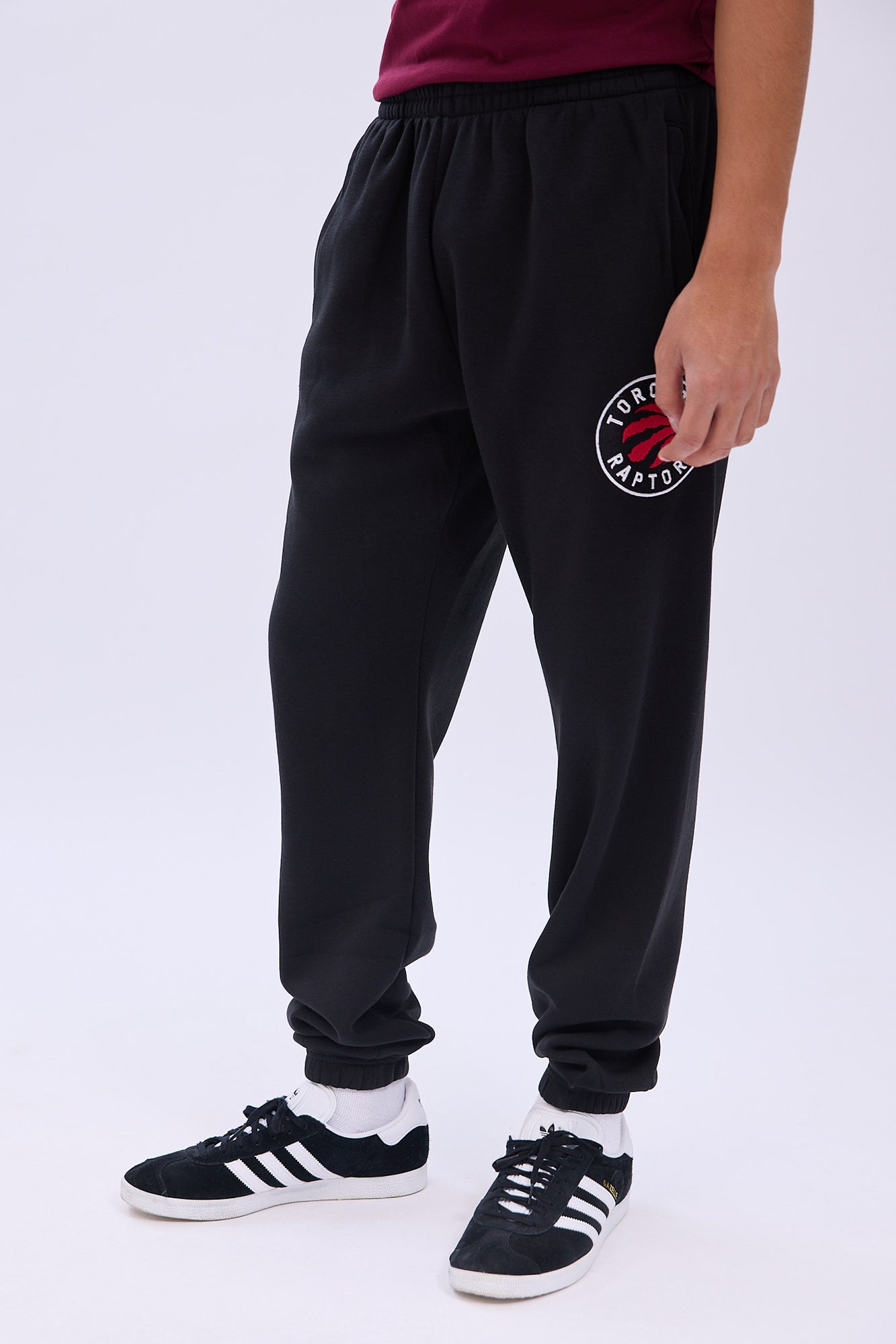 Toronto Raptors Embroidered Sweatpants