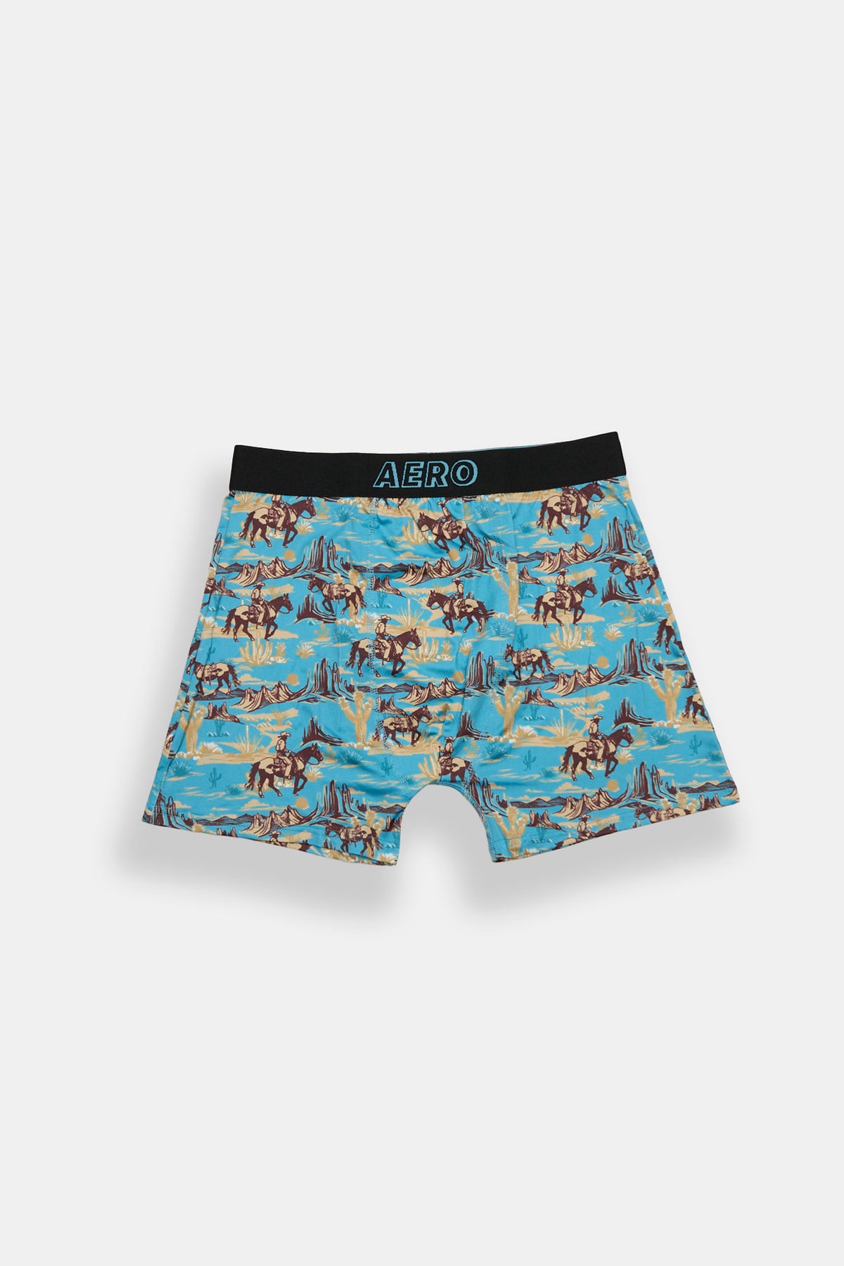 AERO Cowboy Western Cactus Printed Boxer Briefs