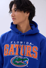 Pull à capuchon graphique chenille Florida Gators thumbnail 2