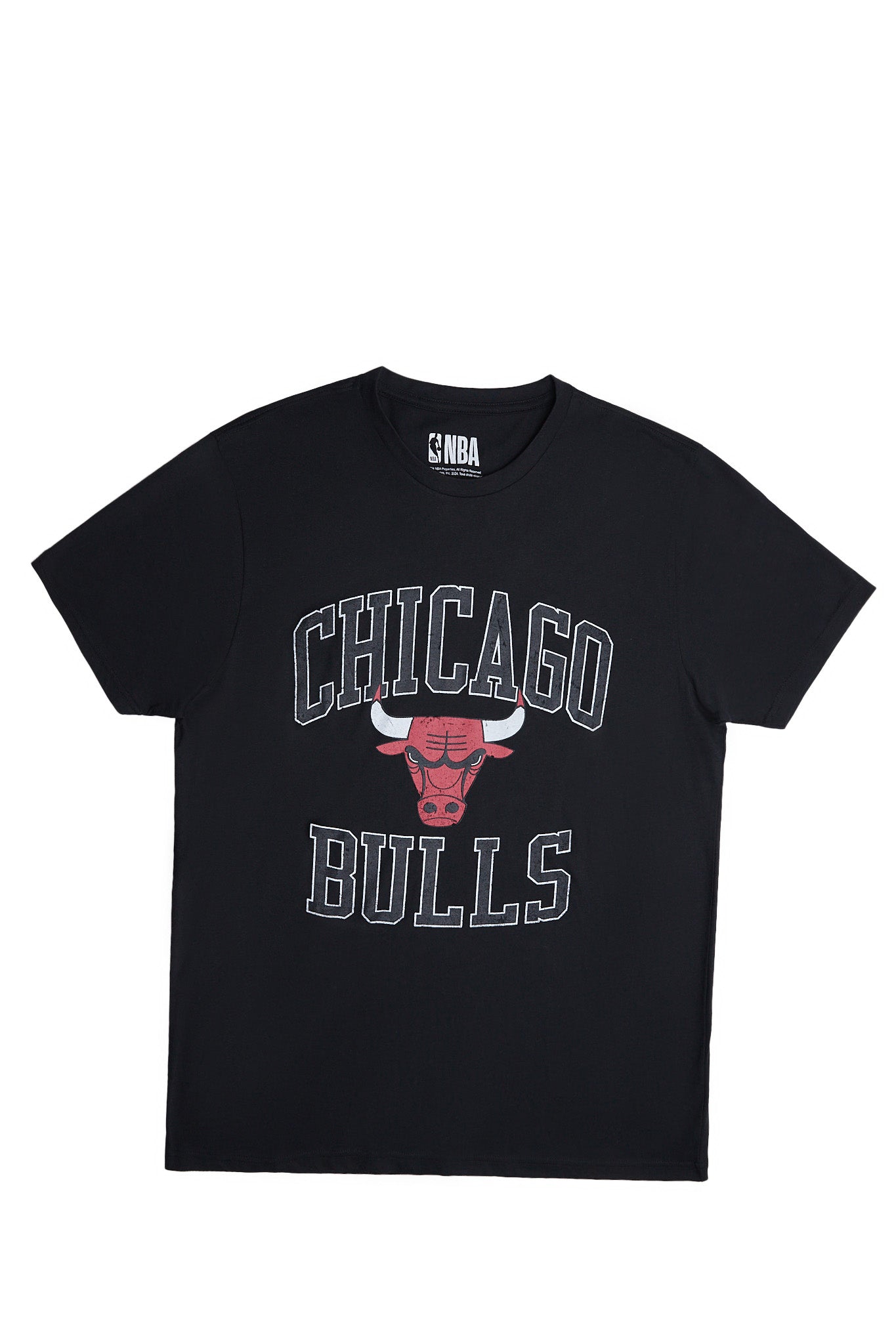 Chicago Bulls Graphic Tonal Tee