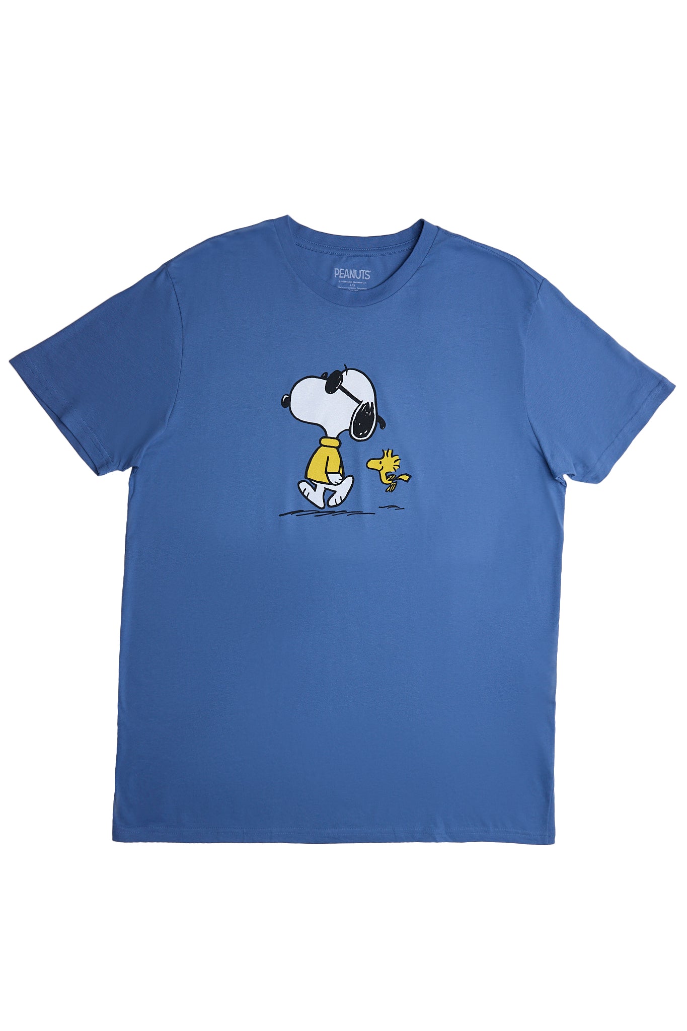 Peanuts Snoopy And Woodstock Graphic Tee