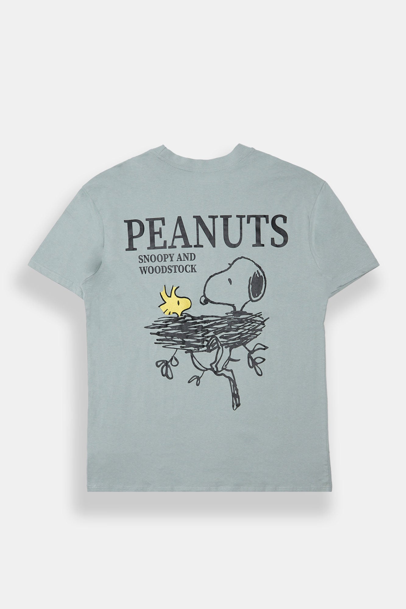 Peanuts Snoopy & Woodstock Graphic Boyfriend Tee