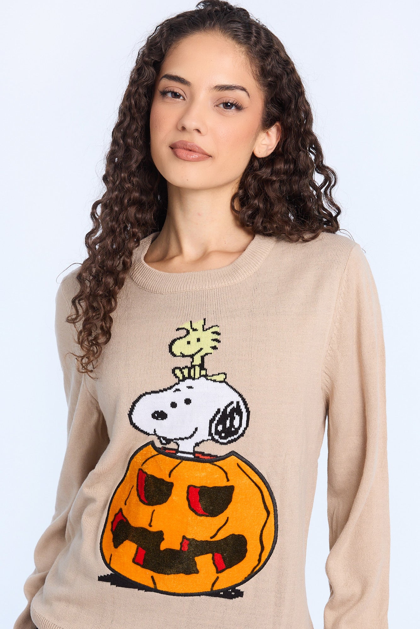 Peanuts Snoopy And Woodstock Halloween Pumpkin Crew Neck