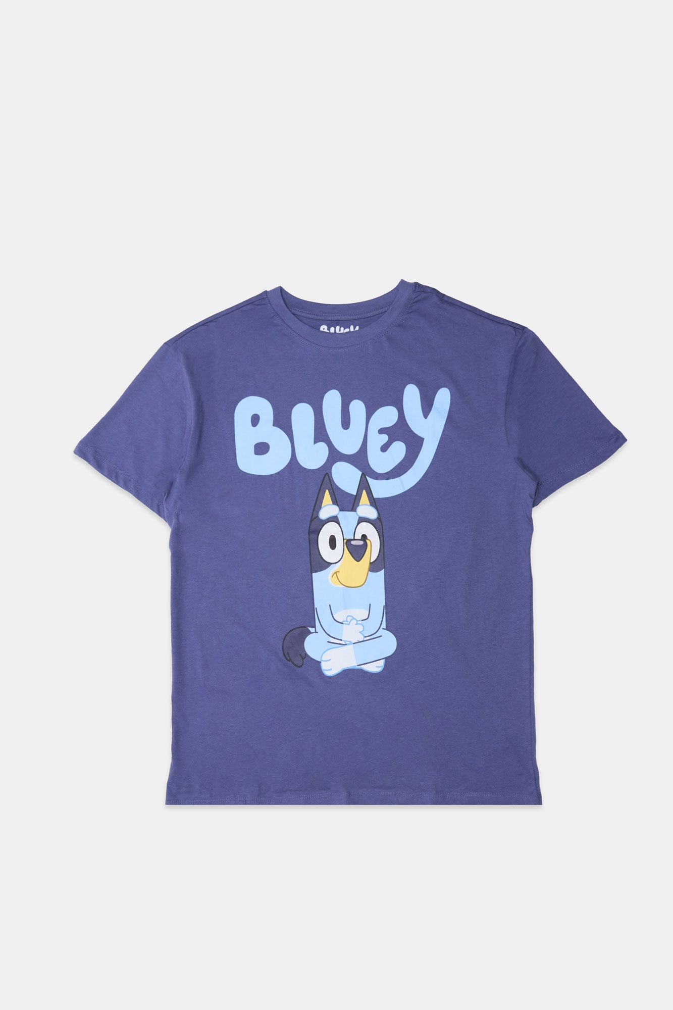 Bluey Graphic Boyfriend Tee