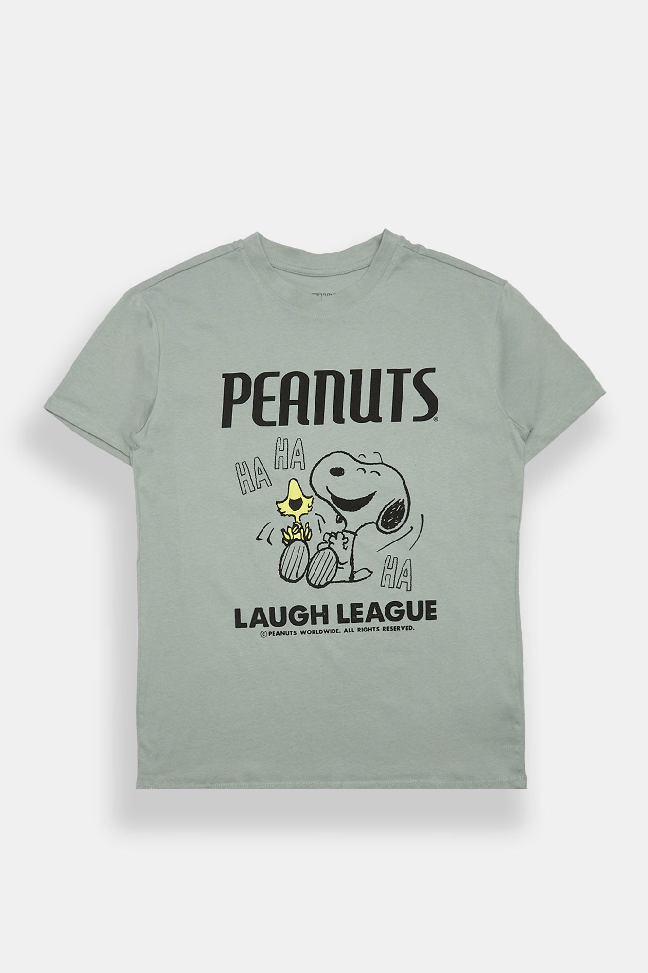 Peanuts Snoopy & Woodstock Graphic Boyfriend Tee
