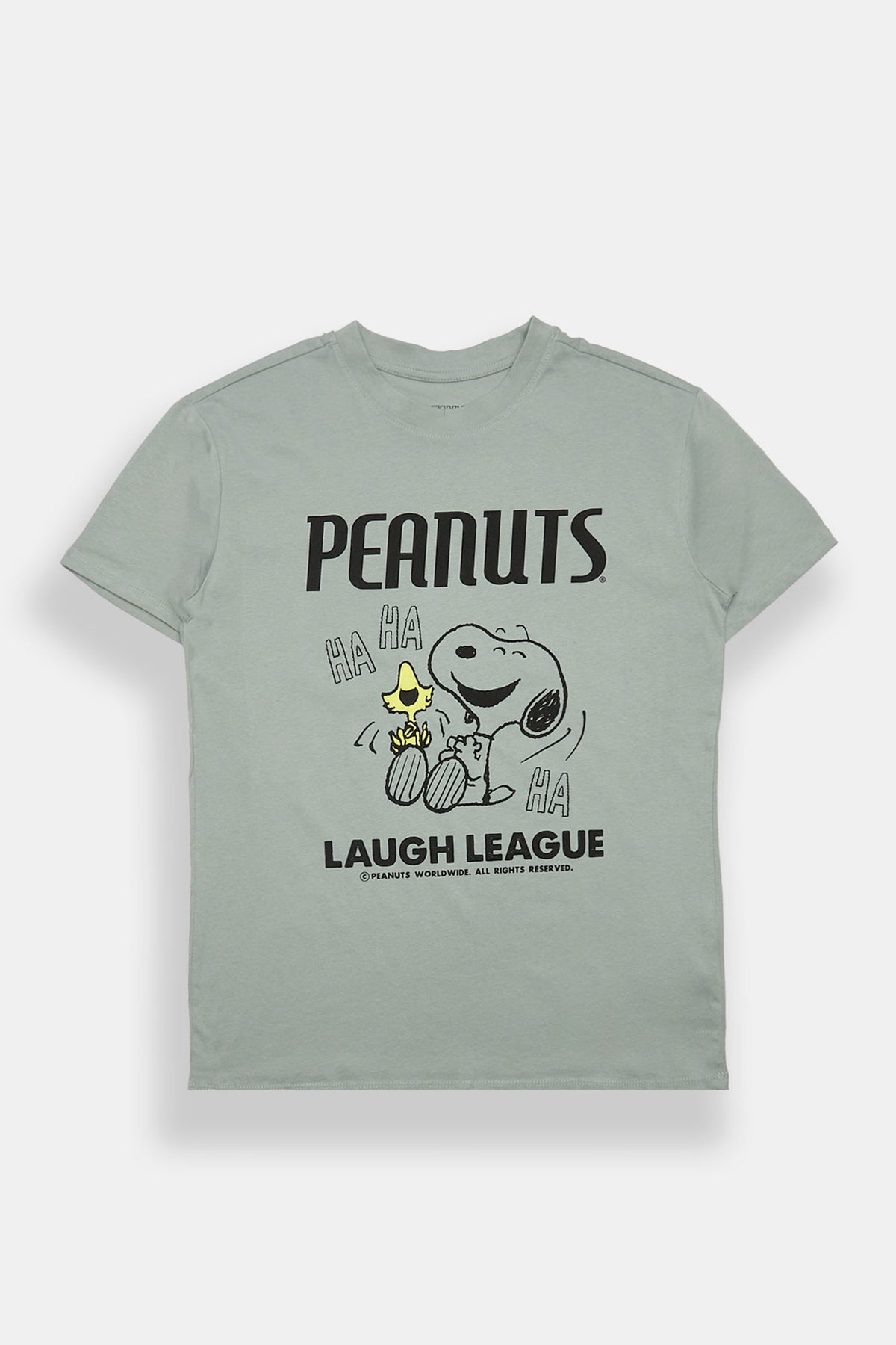 Peanuts Snoopy & Woodstock Graphic Boyfriend Tee